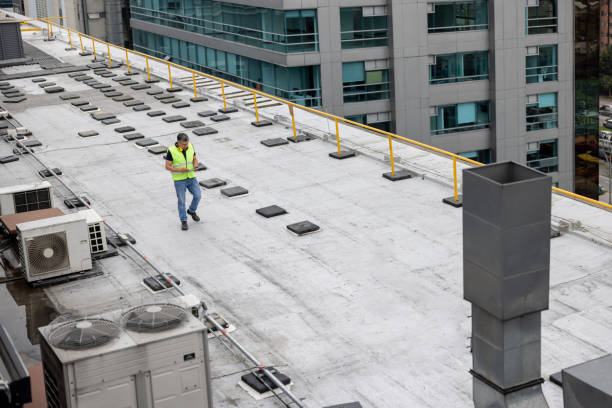 Best Sheet Metal Roofing  in Timonium, MD